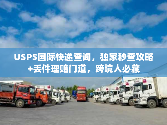 USPS国际快递查询，独家秒查攻略+丢件理赔门道，跨境人必藏