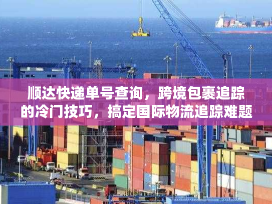 顺达快递单号查询，跨境包裹追踪的冷门技巧，搞定国际物流追踪难题