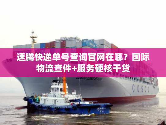 速腾快递单号查询官网在哪？国际物流查件+服务硬核干货