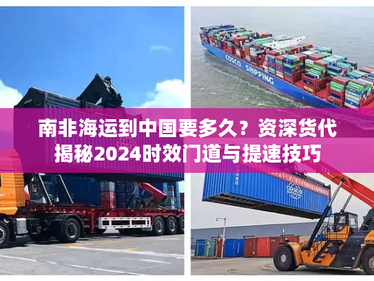 南非海运到中国要多久？资深货代揭秘2024时效门道与提速技巧