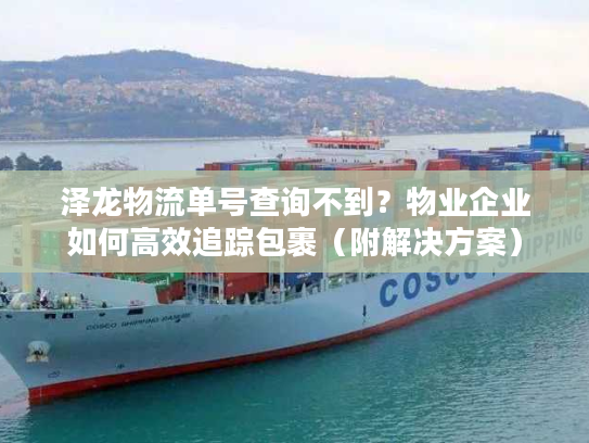 泽龙物流单号查询不到？物业企业如何高效追踪包裹（附解决方案）