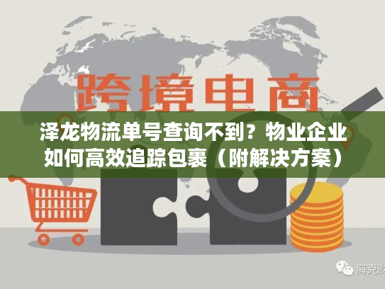 泽龙物流单号查询不到？物业企业如何高效追踪包裹（附解决方案）