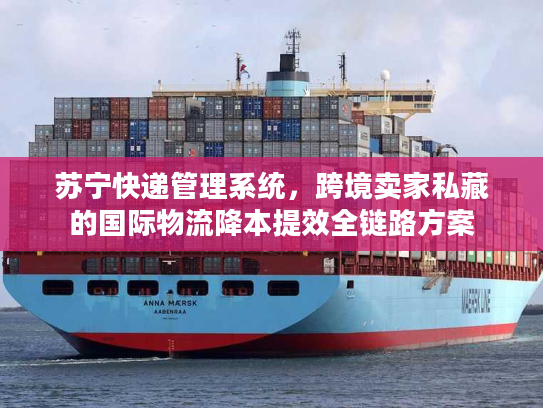苏宁快递管理系统，跨境卖家私藏的国际物流降本提效全链路方案