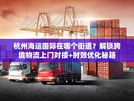 杭州海运国际在哪个街道？解锁跨境物流上门对接+时效优化秘籍