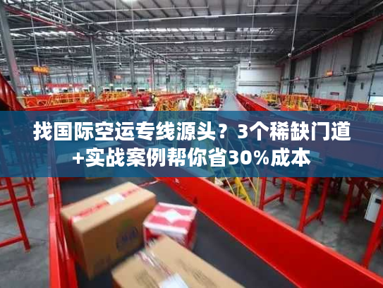 找国际空运专线源头？3个稀缺门道+实战案例帮你省30%成本