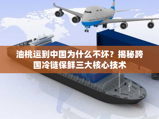 油桃运到中国为什么不坏？揭秘跨国冷链保鲜三大核心技术