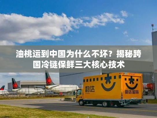 油桃运到中国为什么不坏？揭秘跨国冷链保鲜三大核心技术