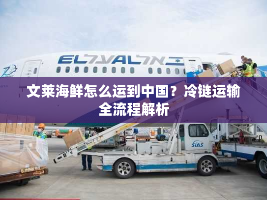 文莱海鲜怎么运到中国？冷链运输全流程解析