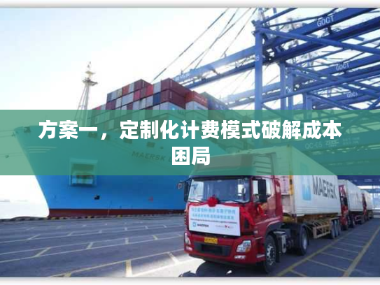 方案一,定制化计费模式破解成本困局 方案一,定制化计费模式破解成本困局