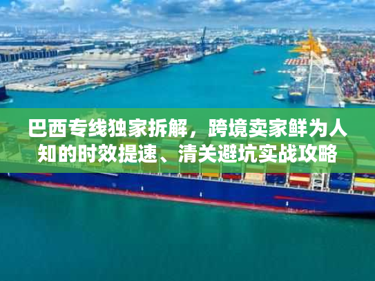 巴西专线独家拆解，跨境卖家鲜为人知的时效提速、清关避坑实战攻略