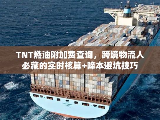 TNT燃油附加费查询，跨境物流人必藏的实时核算+降本避坑技巧