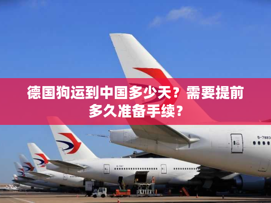 德国狗运到中国多少天？需要提前多久准备手续？