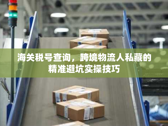 海关税号查询，跨境物流人私藏的精准避坑实操技巧