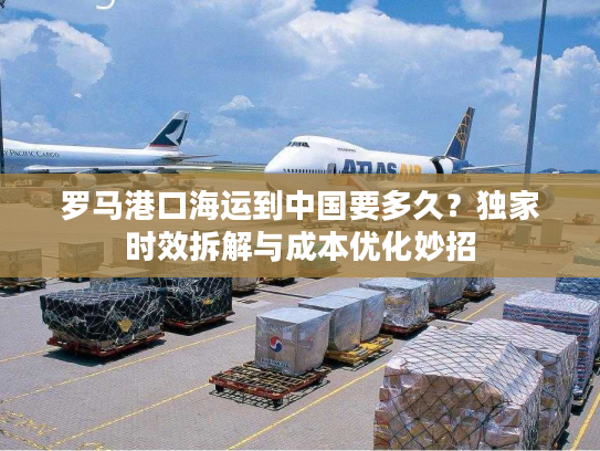 罗马港口海运到中国要多久？独家时效拆解与成本优化妙招