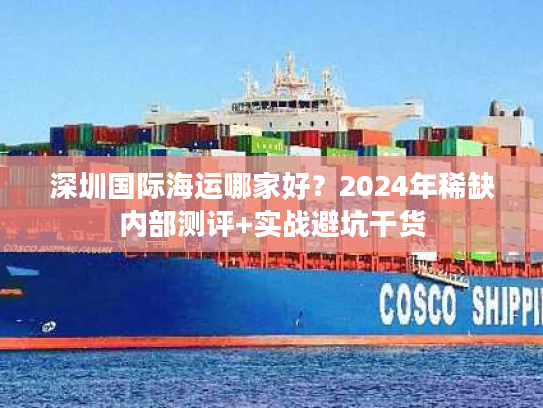 深圳国际海运哪家好？2024年稀缺内部测评+实战避坑干货