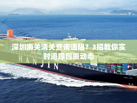 深圳海关清关查询遇阻？3招教你实时追踪包裹动态