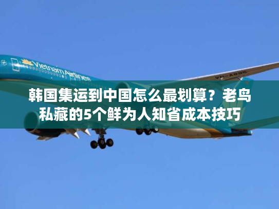 韩国集运到中国怎么最划算？老鸟私藏的5个鲜为人知省成本技巧