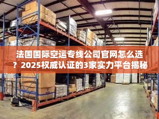 法国国际空运专线公司官网怎么选？2025权威认证的3家实力平台揭秘