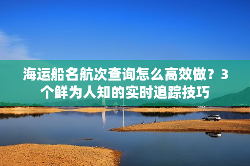 海运船名航次查询怎么高效做？3个鲜为人知的实时追踪技巧