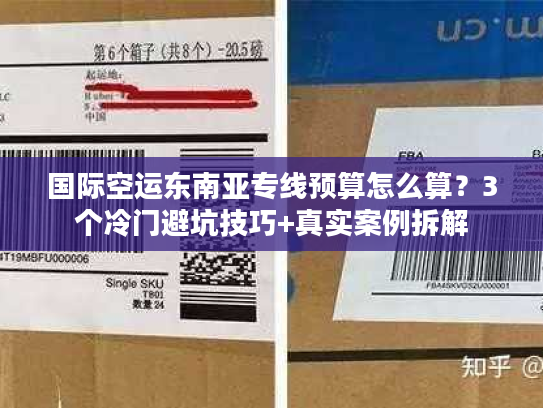 国际空运东南亚专线预算怎么算？3个冷门避坑技巧+真实案例拆解