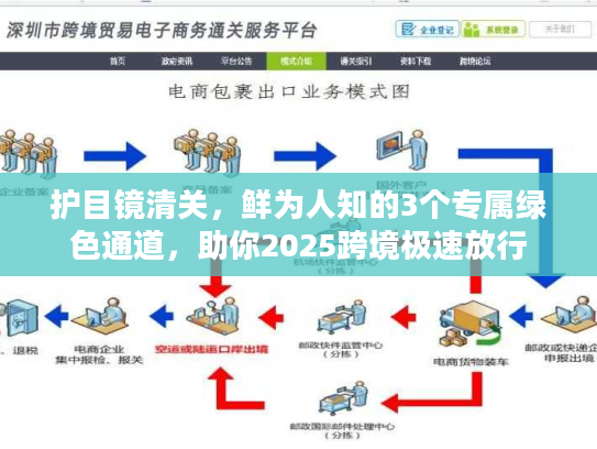 护目镜清关，鲜为人知的3个专属绿色通道，助你2025跨境极速放行