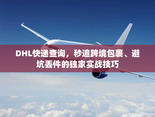 DHL快递查询，秒追跨境包裹、避坑丢件的独家实战技巧