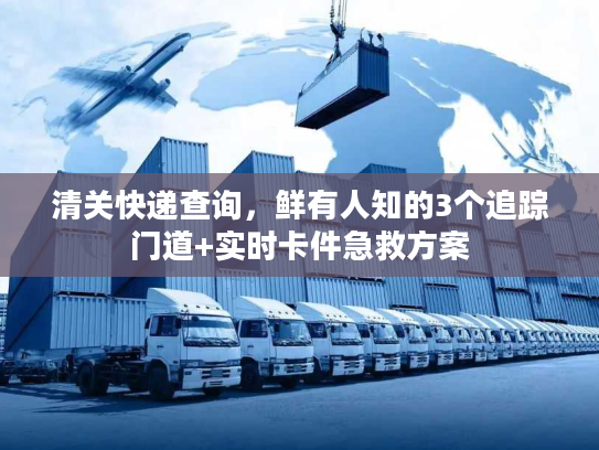 清关快递查询，鲜有人知的3个追踪门道+实时卡件急救方案
