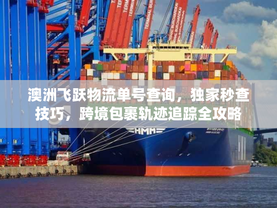 澳洲飞跃物流单号查询，独家秒查技巧，跨境包裹轨迹追踪全攻略