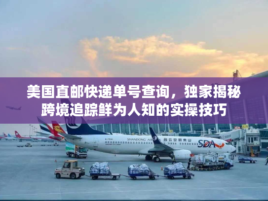 美国直邮快递单号查询，独家揭秘跨境追踪鲜为人知的实操技巧