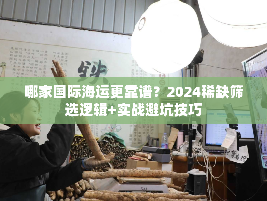 哪家国际海运更靠谱？2024稀缺筛选逻辑+实战避坑技巧