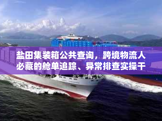 盐田集装箱公共查询，跨境物流人必藏的舱单追踪、异常排查实操干货