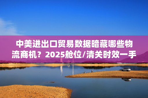 中美进出口贸易数据暗藏哪些物流商机？2025舱位/清关时效一手情报