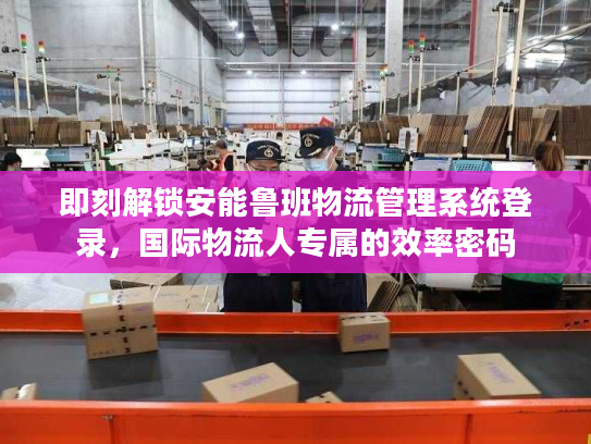 即刻解锁安能鲁班物流管理系统登录，国际物流人专属的效率密码
