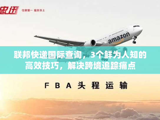 联邦快递国际查询，3个鲜为人知的高效技巧，解决跨境追踪痛点