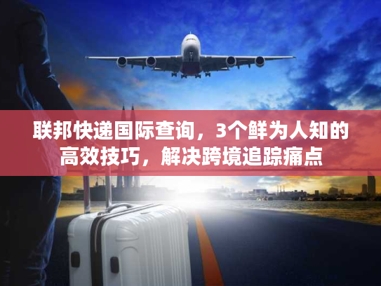 联邦快递国际查询，3个鲜为人知的高效技巧，解决跨境追踪痛点