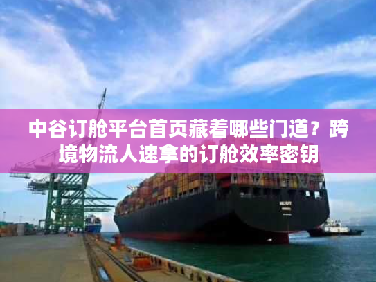 中谷订舱平台首页藏着哪些门道？跨境物流人速拿的订舱效率密钥