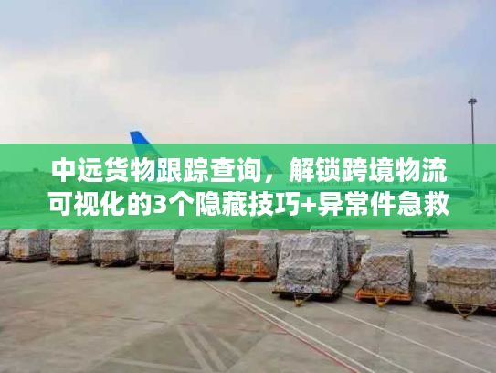 中远货物跟踪查询，解锁跨境物流可视化的3个隐藏技巧+异常件急救方案