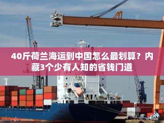 40斤荷兰海运到中国怎么最划算？内藏3个少有人知的省钱门道