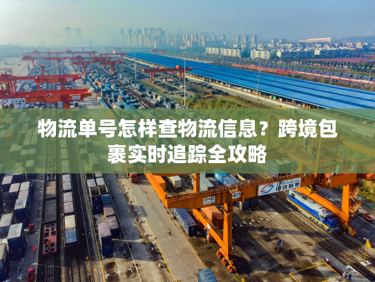物流单号怎样查物流信息？跨境包裹实时追踪全攻略