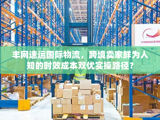 丰网速运国际物流，跨境卖家鲜为人知的时效成本双优实操路径？