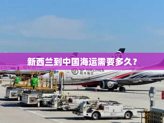 新西兰到中国海运需要多久？
