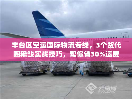 丰台区空运国际物流专线，3个货代圈稀缺实战技巧，帮你省30%运费