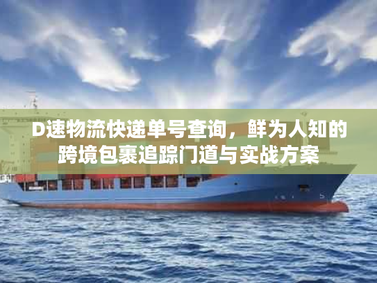 D速物流快递单号查询，鲜为人知的跨境包裹追踪门道与实战方案