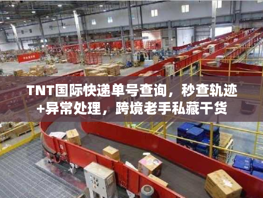 TNT国际快递单号查询，秒查轨迹+异常处理，跨境老手私藏干货