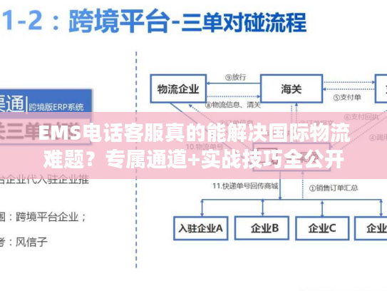 EMS电话客服真的能解决国际物流难题？专属通道+实战技巧全公开