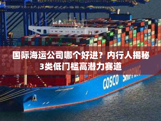 国际海运公司哪个好进？内行人揭秘3类低门槛高潜力赛道