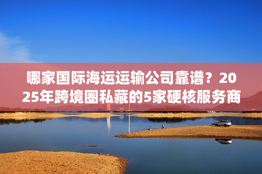 哪家国际海运运输公司靠谱？2025年跨境圈私藏的5家硬核服务商