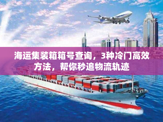 海运集装箱箱号查询，3种冷门高效方法，帮你秒追物流轨迹