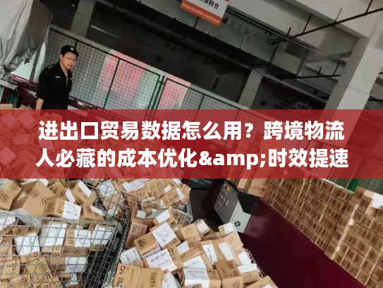 进出口贸易数据怎么用？跨境物流人必藏的成本优化&时效提速干货
