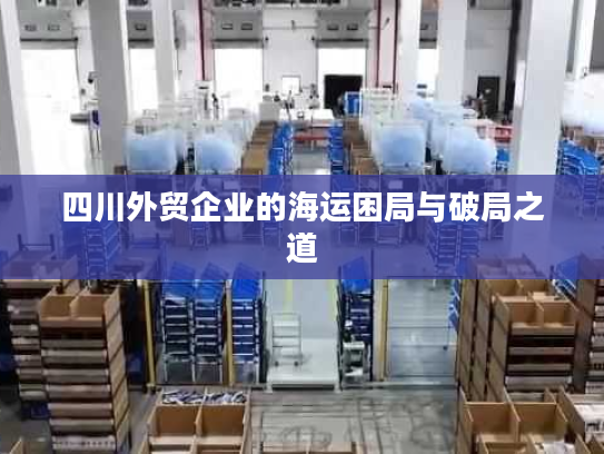 四川外贸企业的海运困局与破局之道